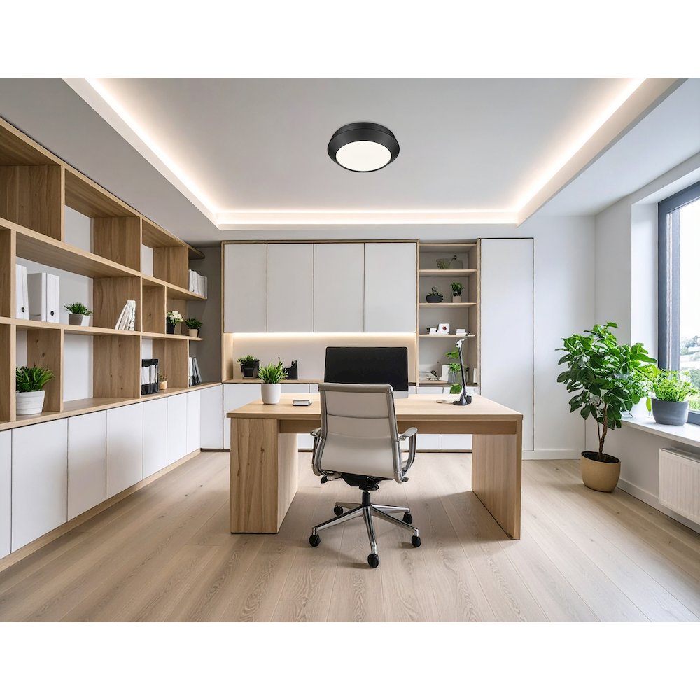 Z-Lite 1 Light Flush Mount, Matte Black. Picture 5