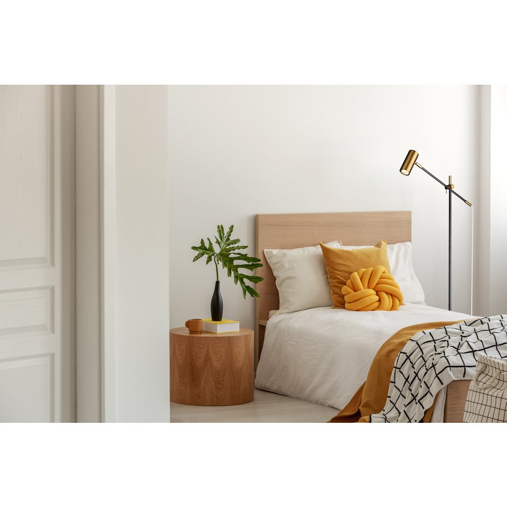 Z-Lite 1 Light Floor Lamp. Picture 7