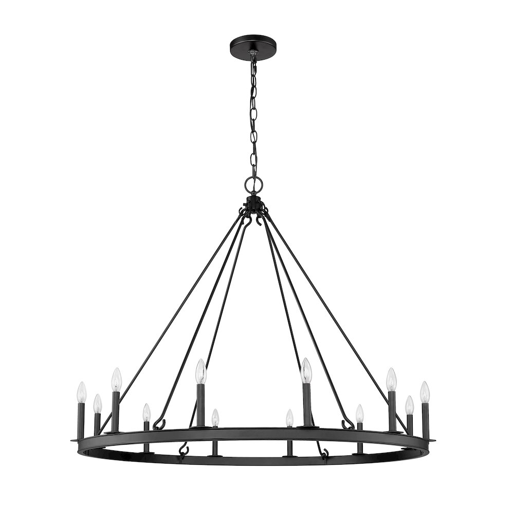 Z-Lite 12 Light Chandelier. Picture 5