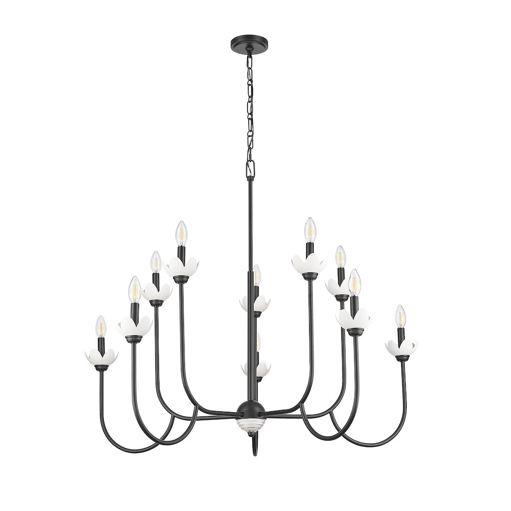 Z-Lite Allistair 10 Light Chandelier in Matte Black color, Steel frame. Picture 5