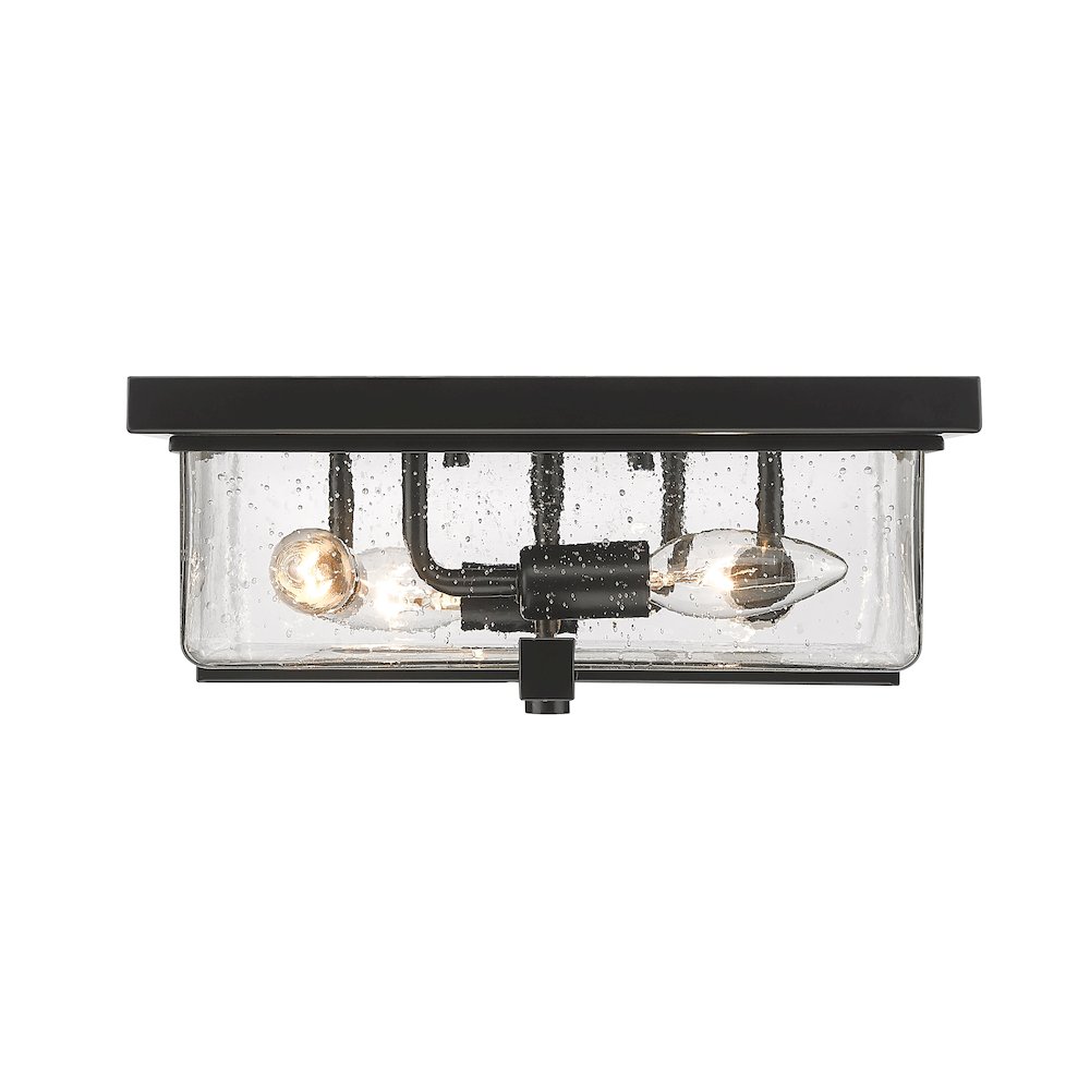 Z-Lite 4 Light Outdoor Flush Mount. Picture 2