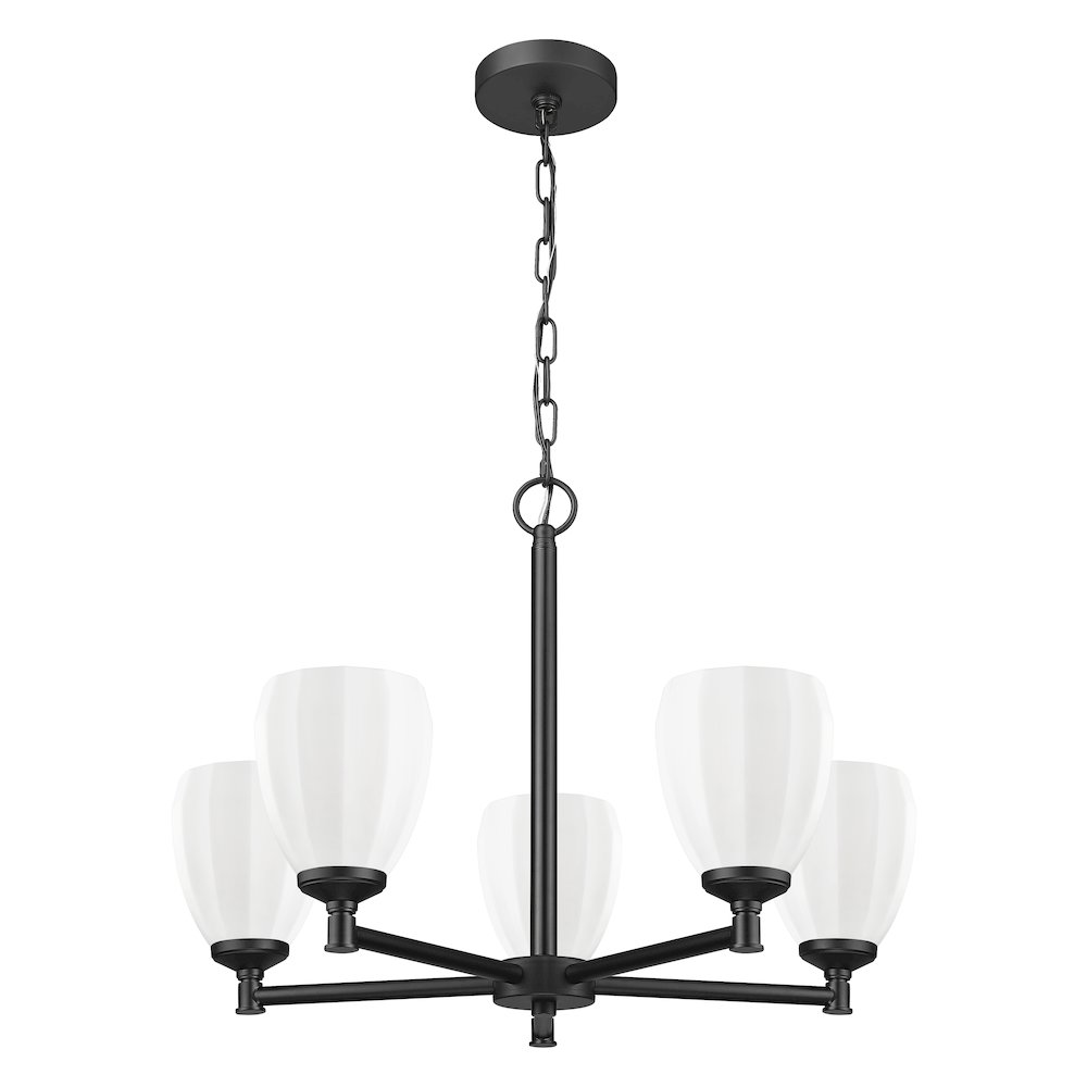Z-Lite Oren 5 Light Chandelier in Matte Black color, Steel frame. Picture 5
