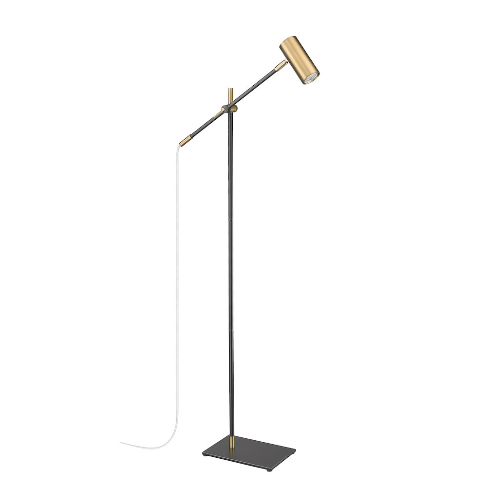 Z-Lite 1 Light Floor Lamp. Picture 5