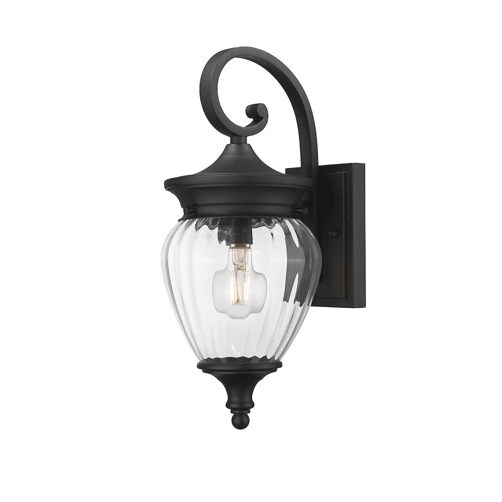 Z-Lite 1 Light Outdoor Wall Light. Picture 1