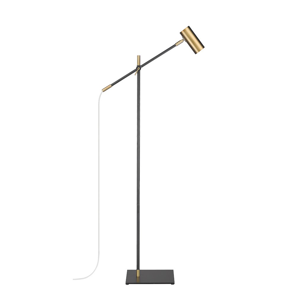 Z-Lite 1 Light Floor Lamp. Picture 2