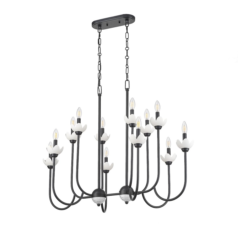 Z-Lite Allistair 12 Light Linear Chandelier in Matte Black color, Steel frame. Picture 5