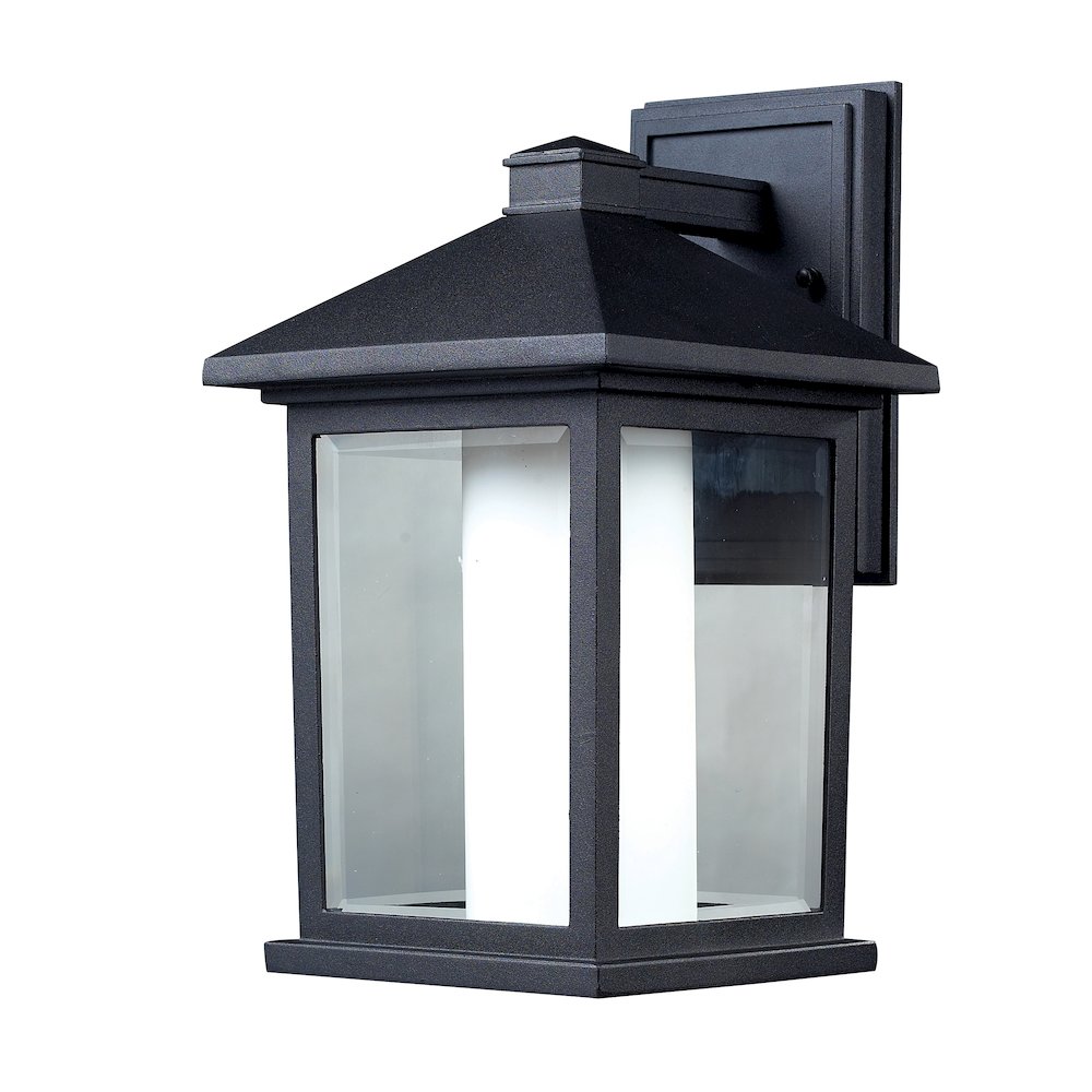 Z-Lite 1 Light Outdoor Wall Light. Picture 1