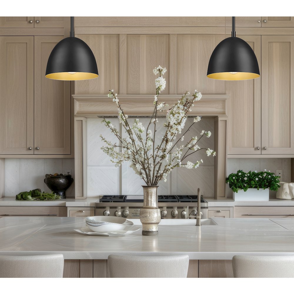Z-Lite 1 Light Pendant, Matte Black. Picture 6