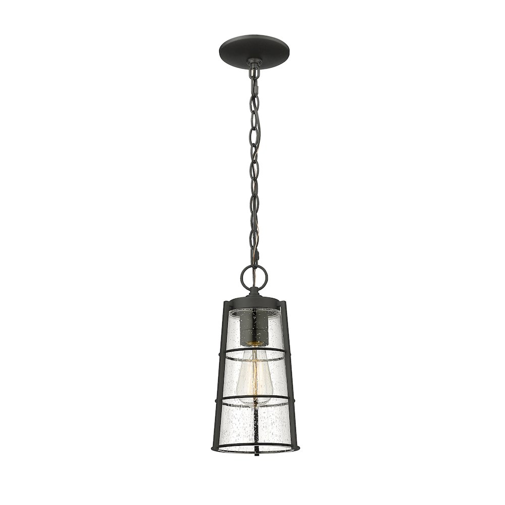 Z-Lite 1 Light Outdoor Chain Mount Ceiling Fixture. Picture 1