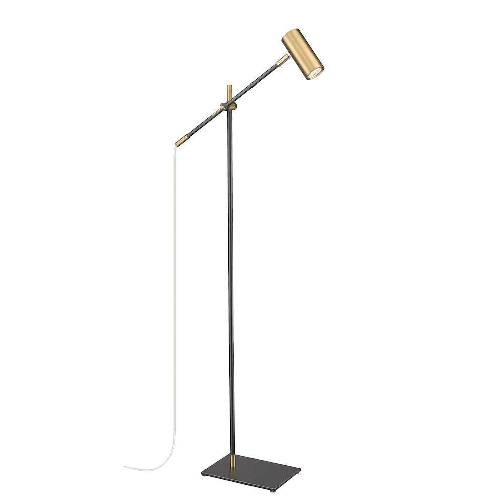 Z-Lite 1 Light Floor Lamp. Picture 1