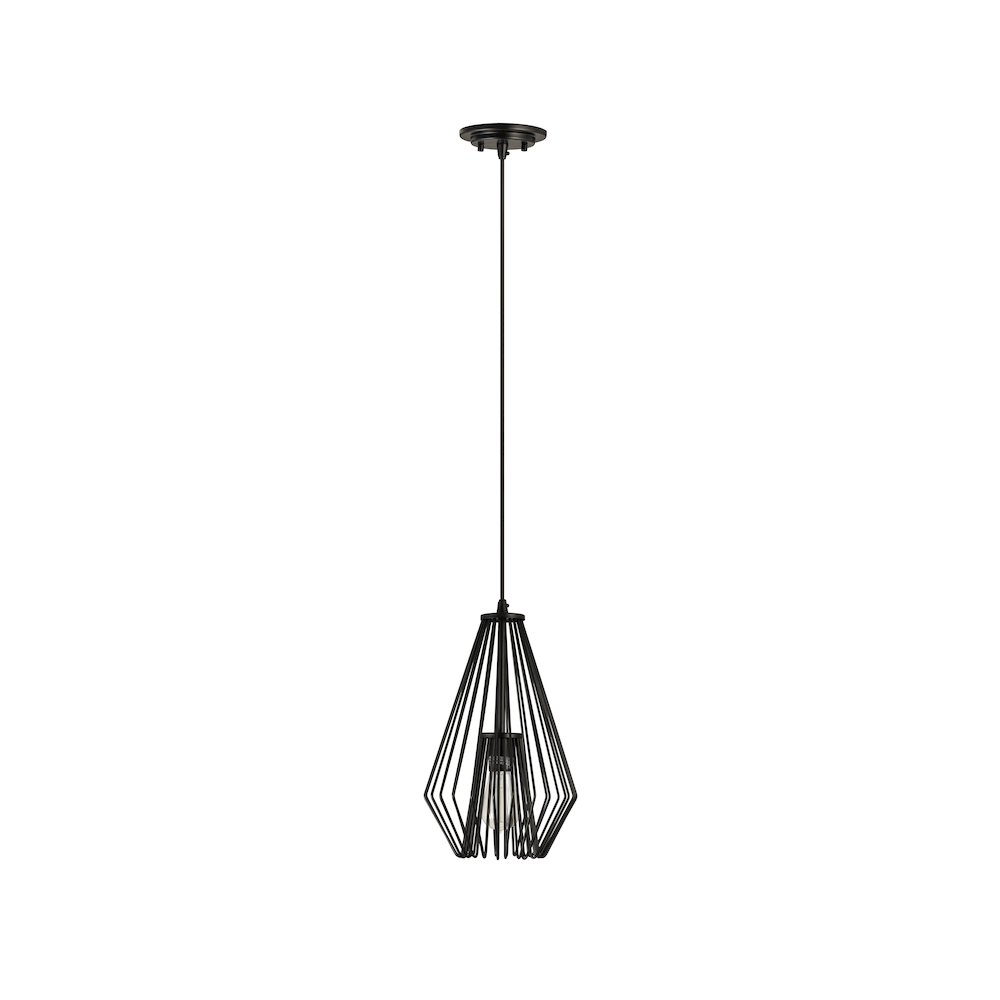 Z-Lite 1 Light Pendant. Picture 5