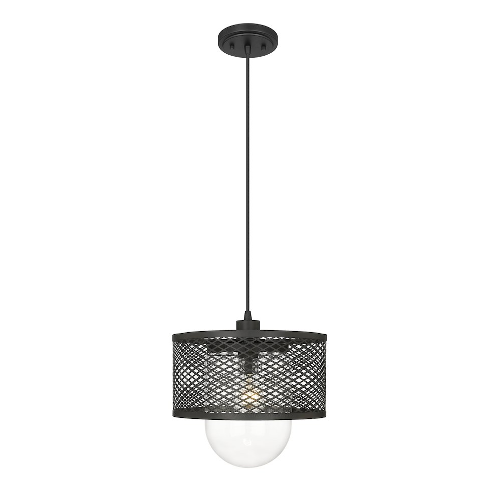 Z-Lite 1 Light Pendant. Picture 2
