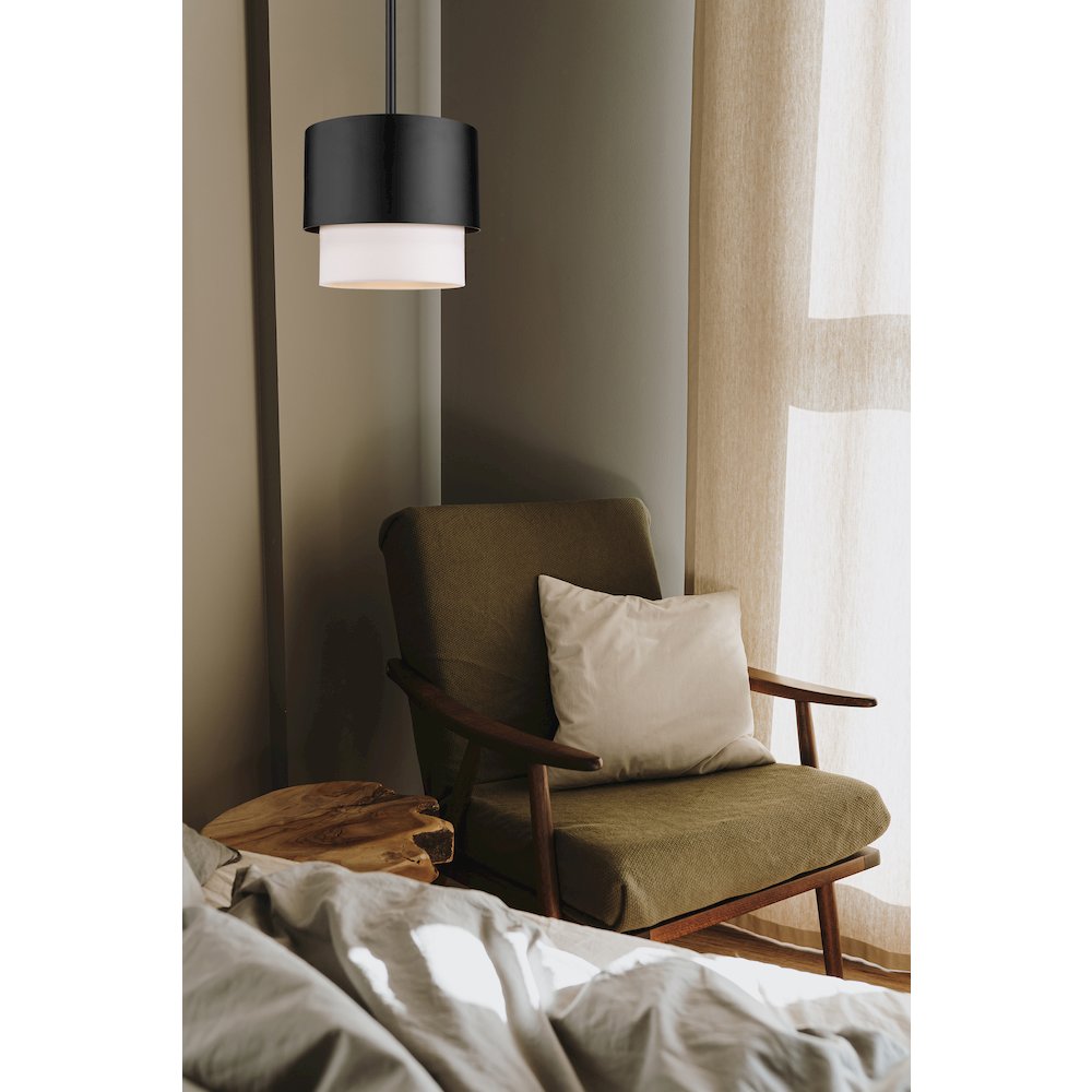 1 Light Pendant. Picture 7