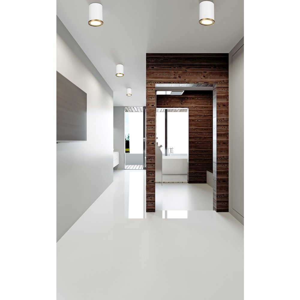 Z-Lite 1 Light Flush Mount. Picture 6