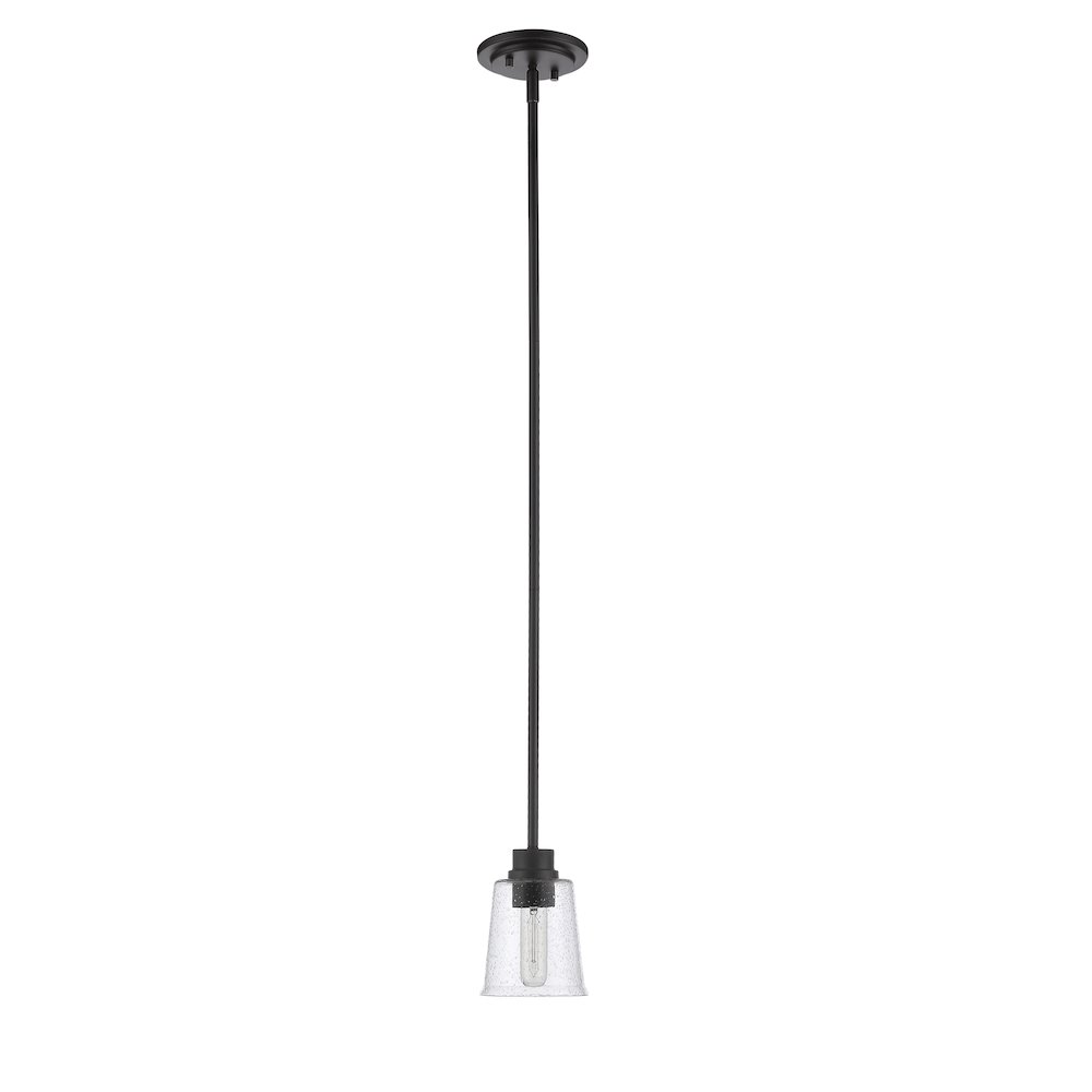 Z-Lite 1 Light Pendant. Picture 5