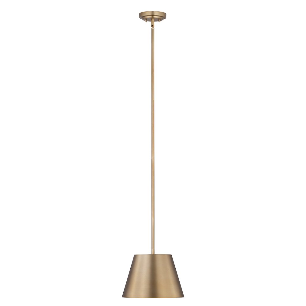 Z-Lite 1 Light Pendant. Picture 1