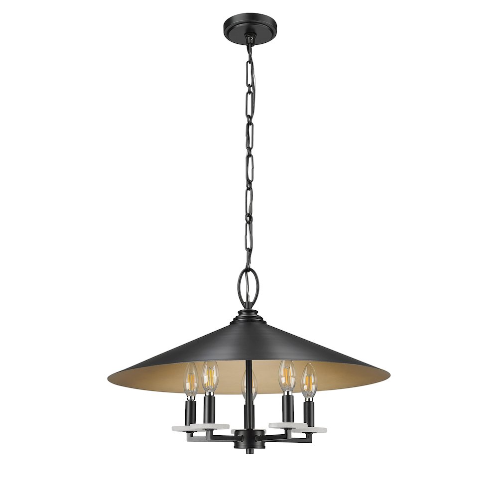 Z-Lite 5 Light Pendant. Picture 5