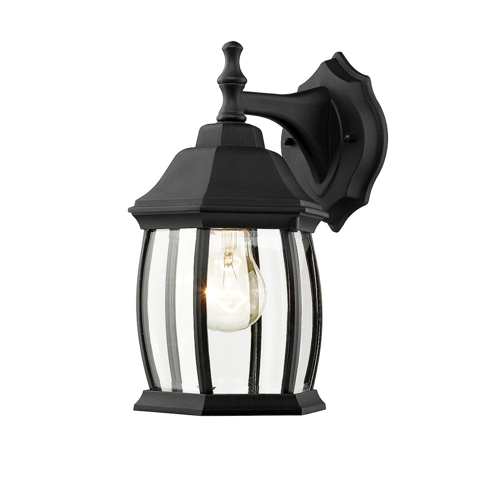 Z-Lite 1 Light Outdoor Wall Light. Picture 1
