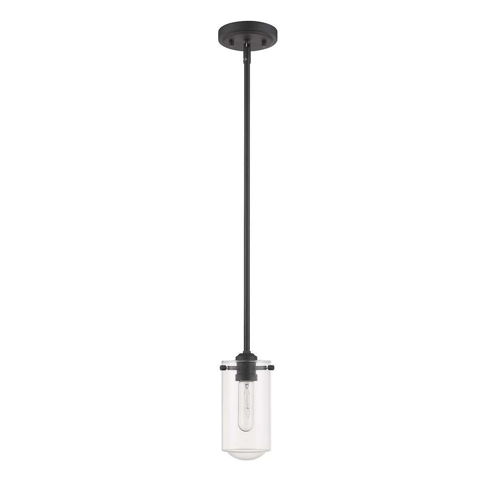 Z-Lite 1 Light Pendant. Picture 5