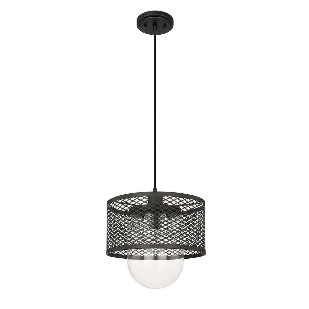 Z-Lite 1 Light Pendant. Picture 5