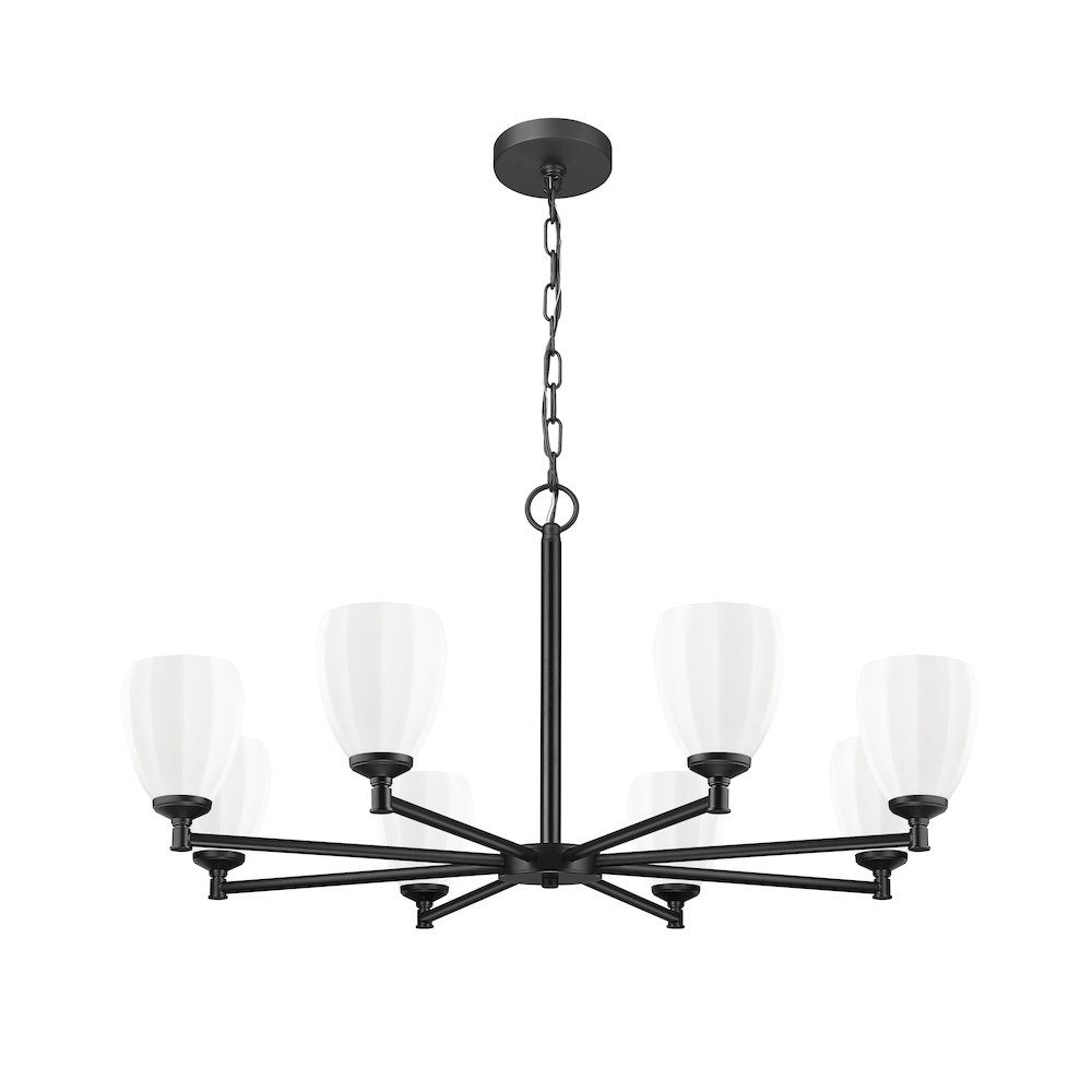 Z-Lite Oren 8 Light Chandelier in Matte Black color, Steel frame. Picture 5