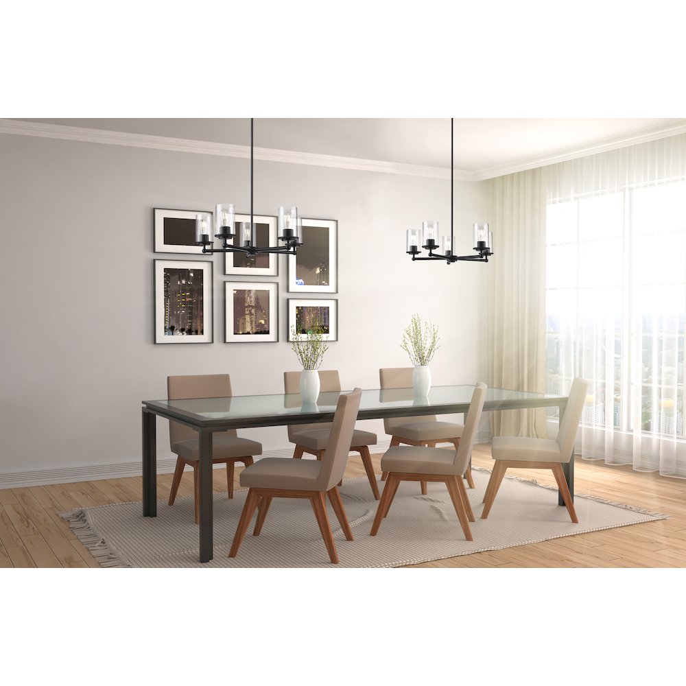 Z-Lite 5 Light Chandelier. Picture 6