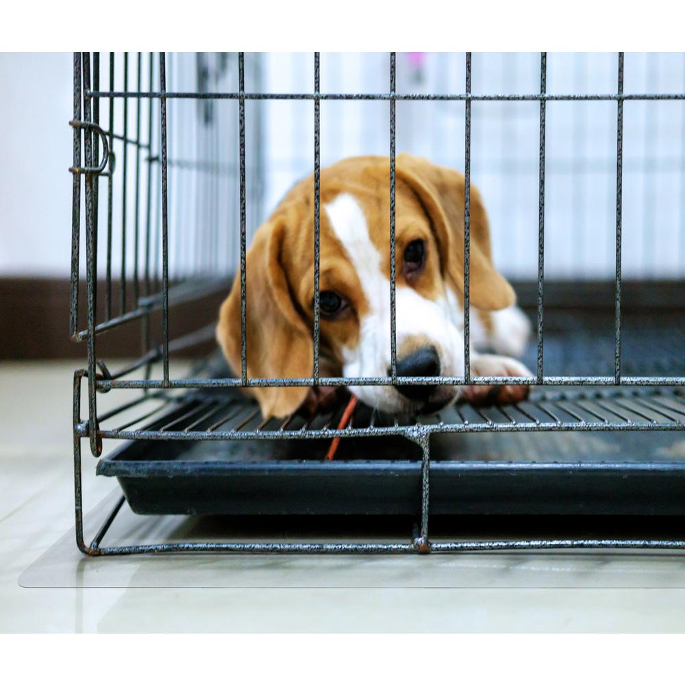 P-Tex Polycarbonate Dog Crate Floor Protector - 48" x 53". Picture 1