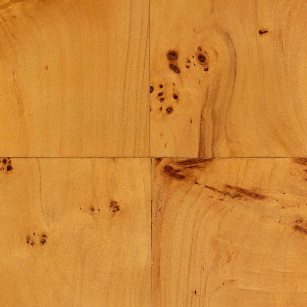 Netra Modern and  Natural Real Burl Wood Console Table. Picture 8