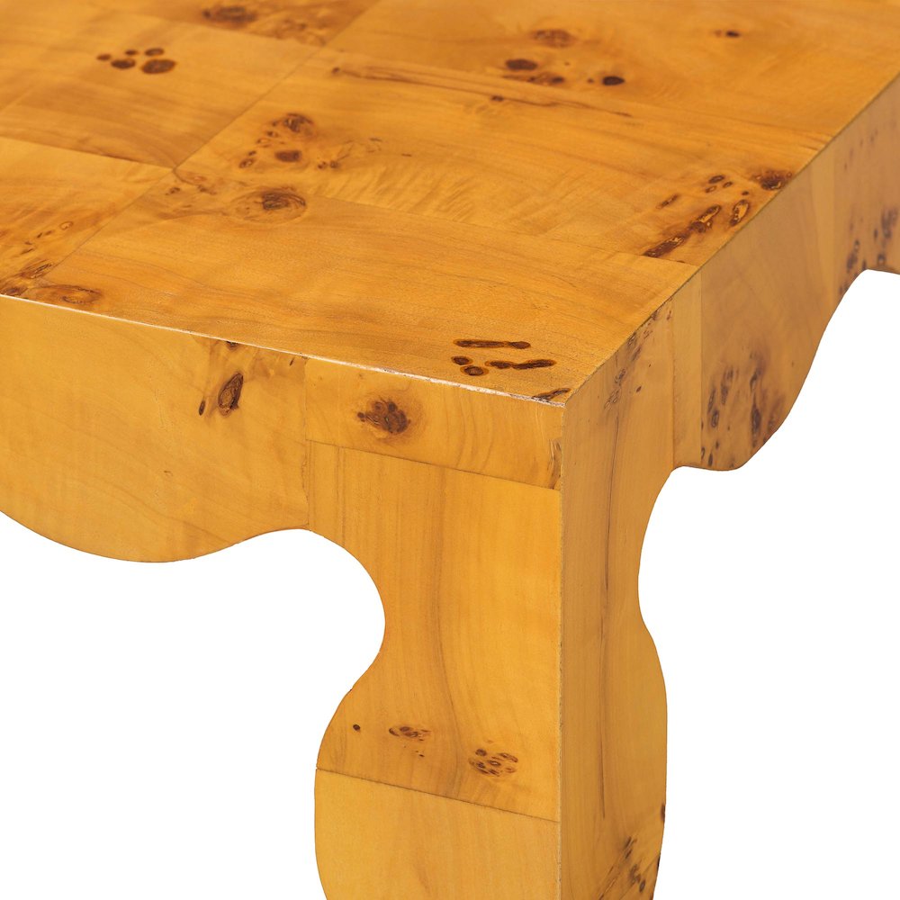 Huxley Modern and  Natural Real Burl Wood Coffee Table. Picture 5