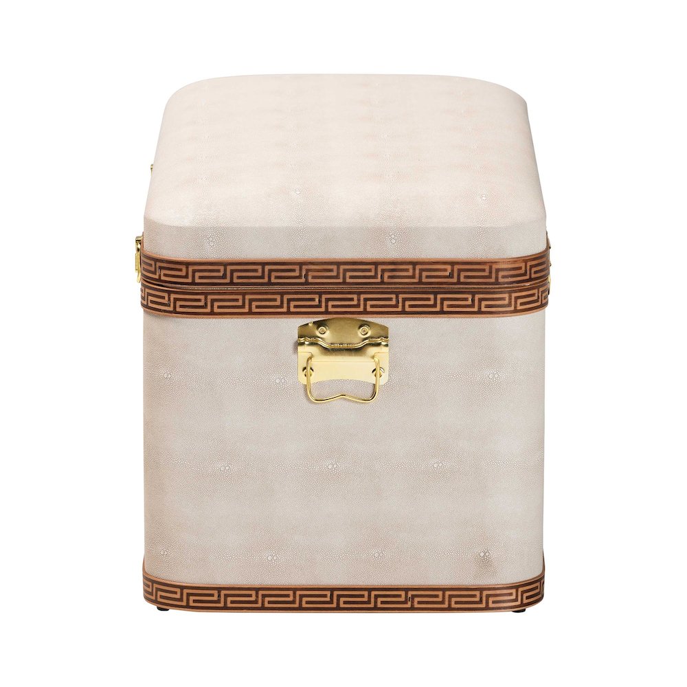 Brenner Modern Transitional Beige Faux Shagreen Storage Trunk. Picture 4
