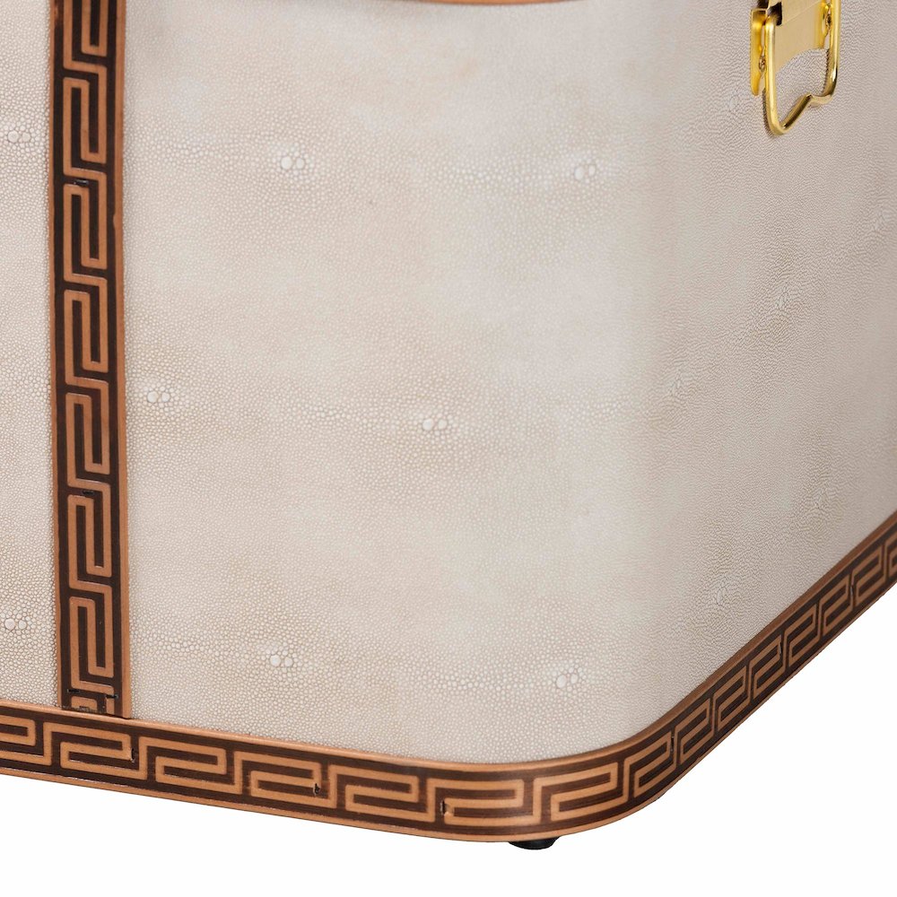 Brenner Modern Transitional Beige Faux Shagreen Storage Trunk. Picture 7