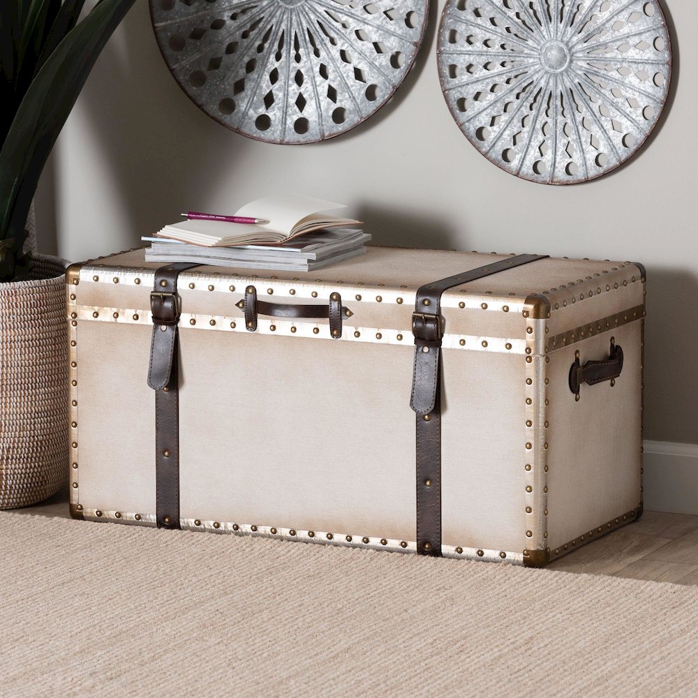 Nevio Vintage Weathered White Canvas Storage Trunk. Picture 9