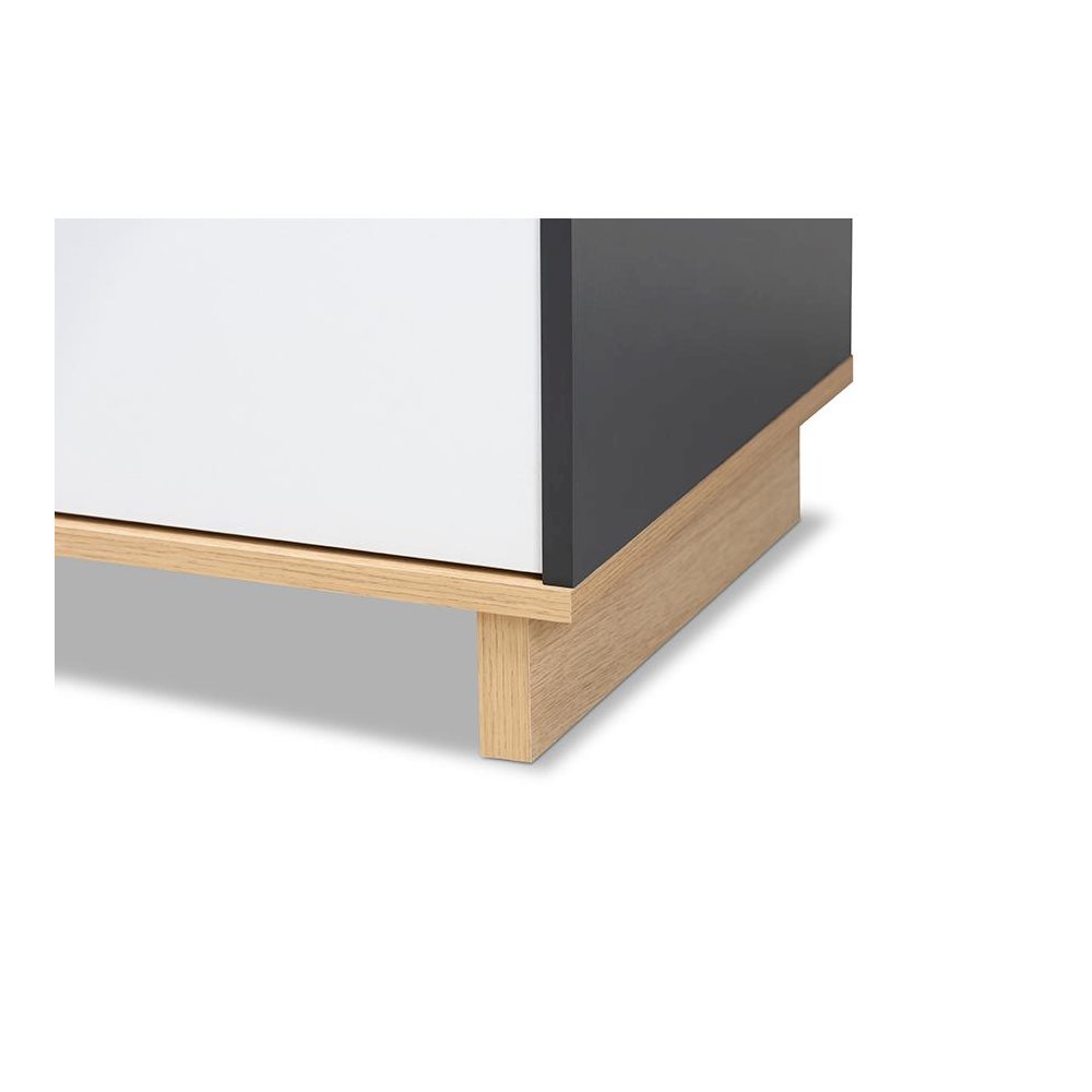 Reed Mid-Century Modern Multicolor 2-Door Wood Dining Room Sideboard. Picture 6