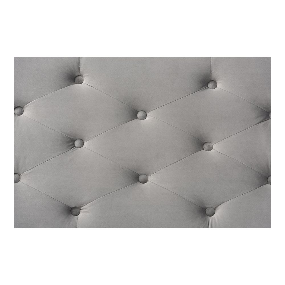 Transitional Grey Velvet Fabric Upholstered Silver Finished Storage Ottoman. Picture 6
