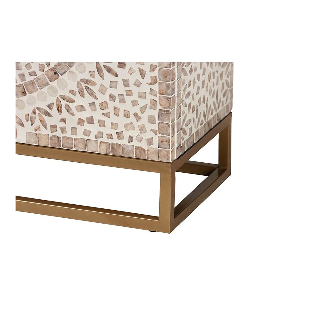 Ercilia Modern Bohemian White and Rustic Brown Mother of Pearl Storage Cabinet. Picture 6