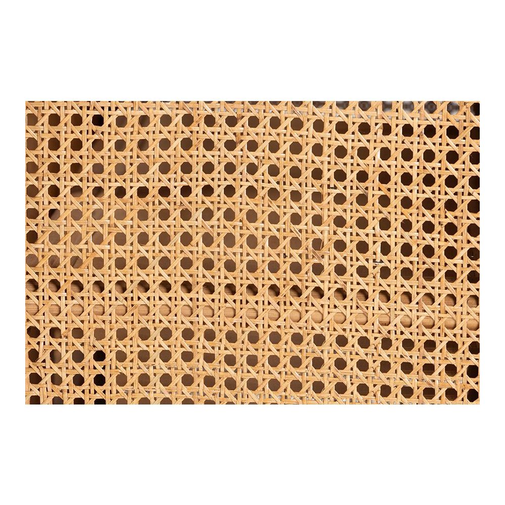 Curacao Modern Bohemian Light Honey Rattan 2-Door Storage Cabinet. Picture 7