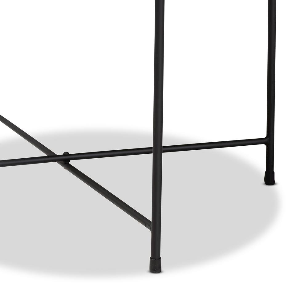 Baxton Studio Ivana Modern and Contemporary Black Finished Metal Plant Stand. Picture 10