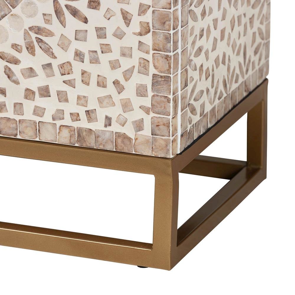 Ercilia Modern Bohemian White and Rustic Brown Mother of Pearl Storage Cabinet. Picture 16
