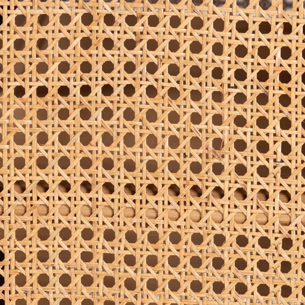 Curacao Modern Bohemian Light Honey Rattan 2-Door Storage Cabinet. Picture 17