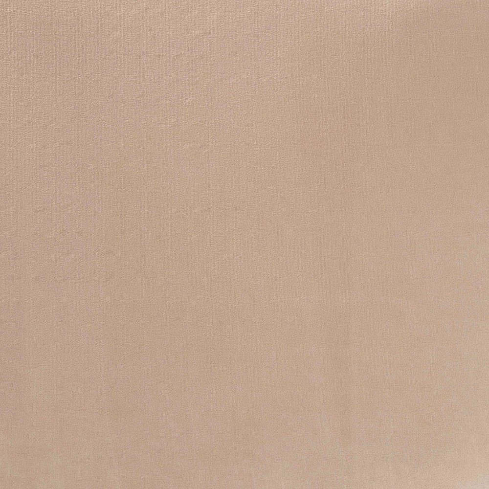 Adanna Glam and Luxe Champagne Beige Velvet Fabric Sofa. Picture 15