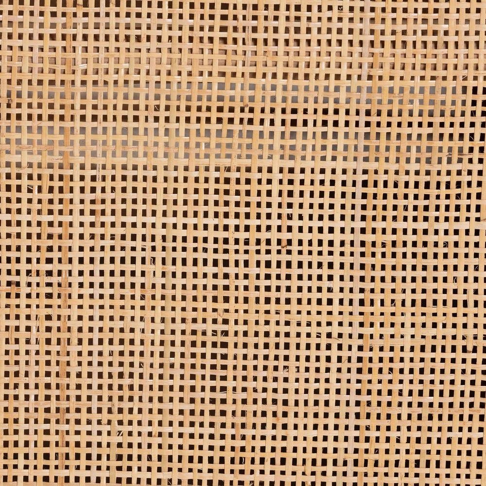 Evania Bohemian Natural Rattan 3-Door Storage Cabinet. Picture 17
