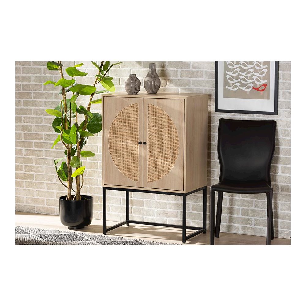 Black Metal 2-Door Storage Cabinet with Natural Rattan. Picture 23