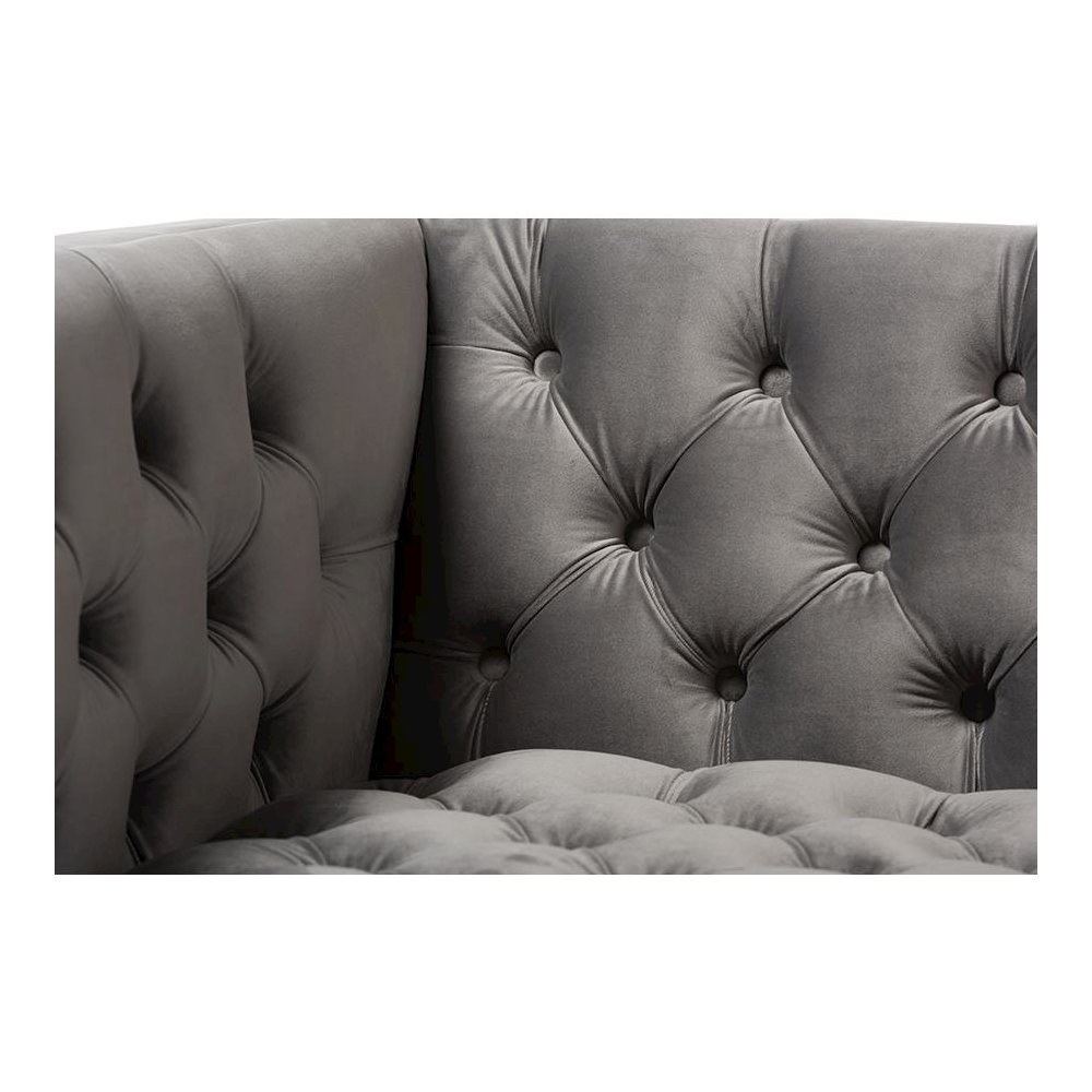 Zanetta Luxe and Glamour Grey Velvet Upholstered Gold Finished Lounge Chair. Picture 5