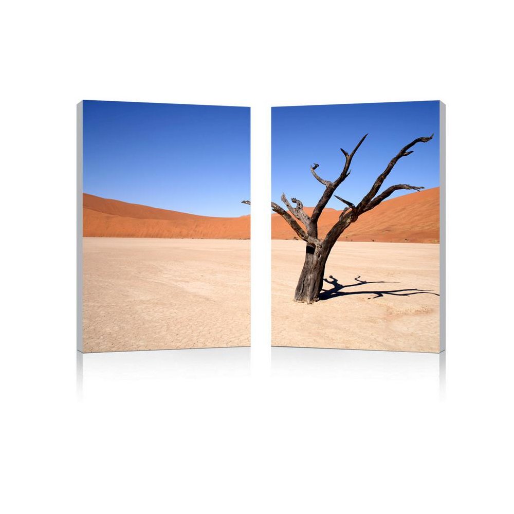 Desert Solitude Mounted Photography Print Diptych Multi. Picture 1