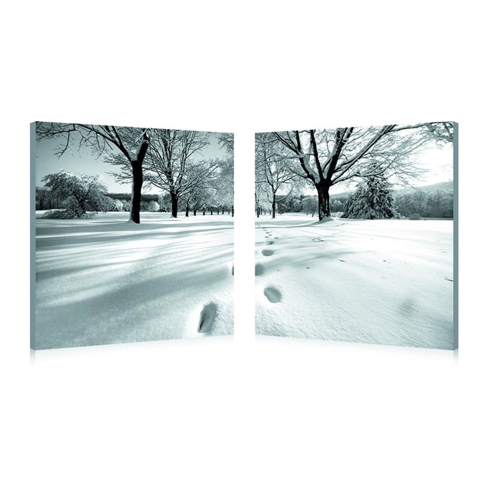 Telltale Trail Mounted Photography Print Diptych Black/White. Picture 1