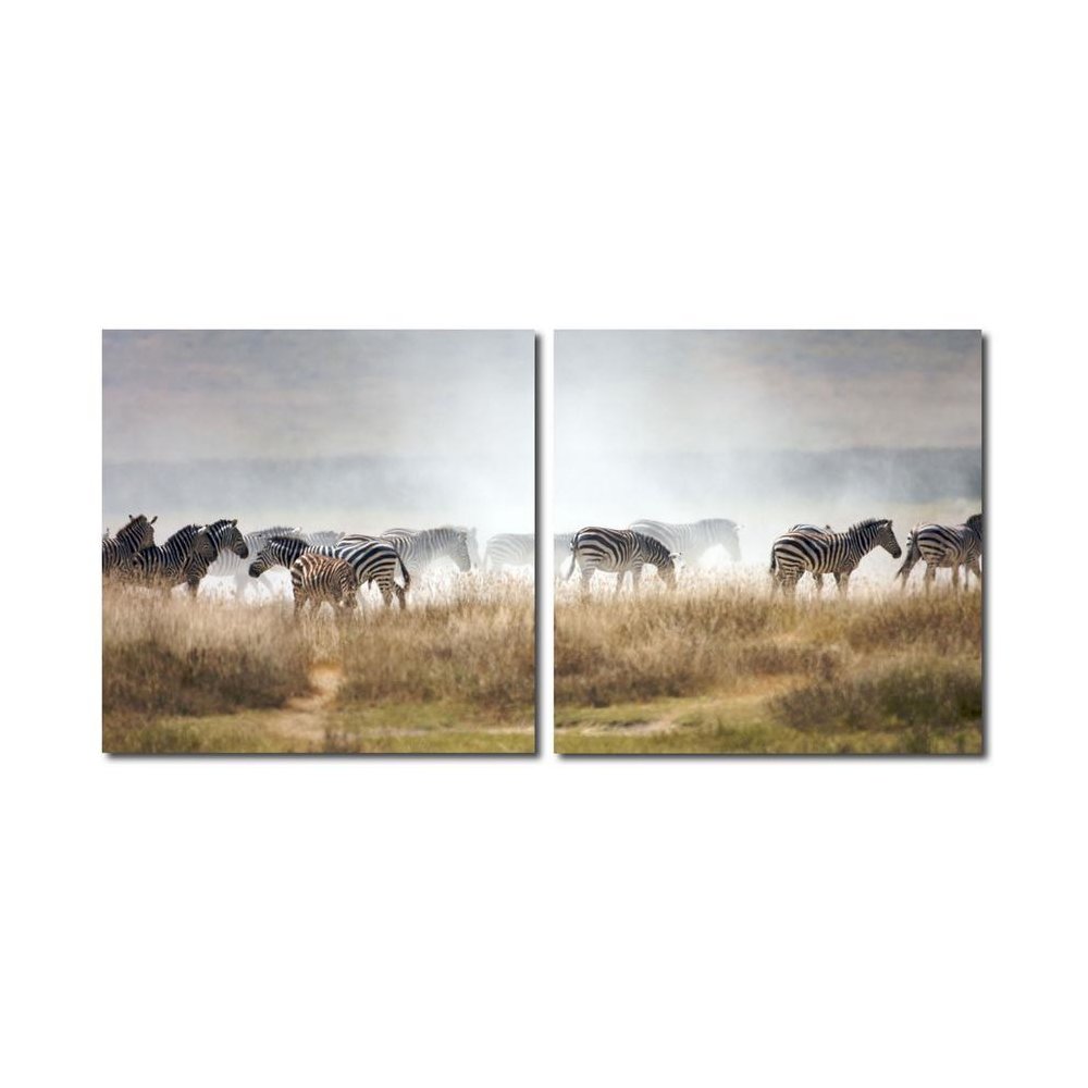 A Zeal of Zebras Mounted Photography Print Diptych Multi. Picture 1