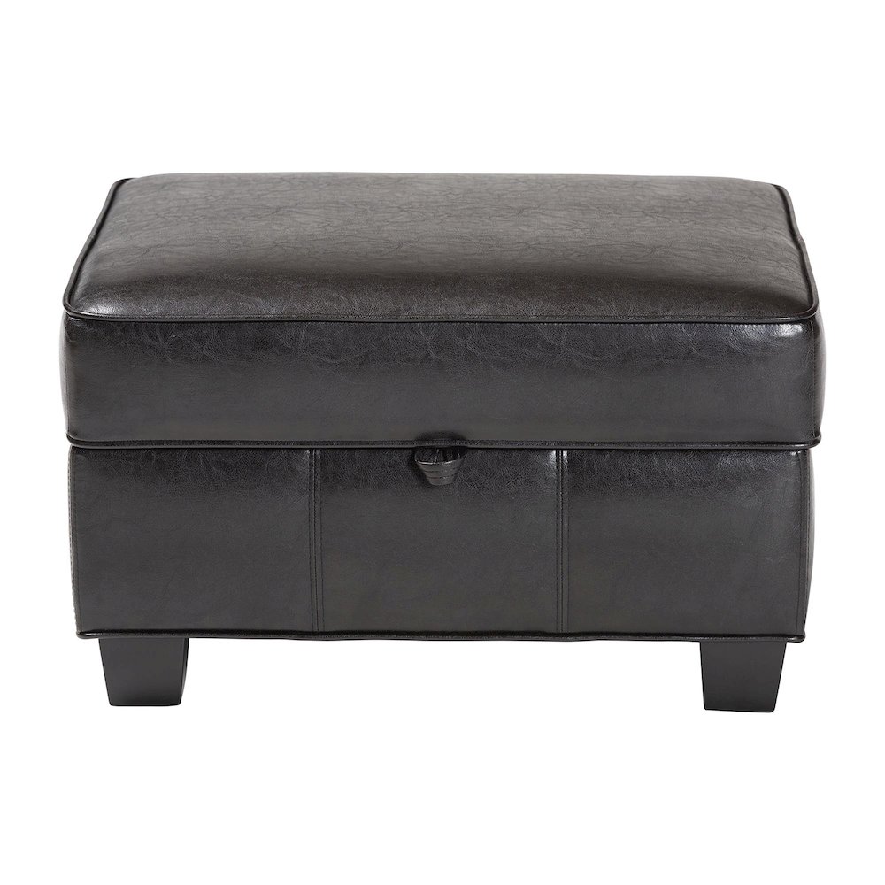 Baxton Studio Agustus Brown Leather Storage Ottoman. Picture 3