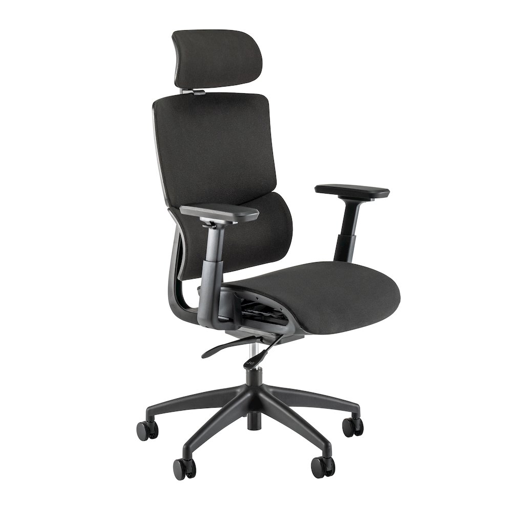 Align High Back Ergonomic Office Chair with Lumbar Support. Picture 1