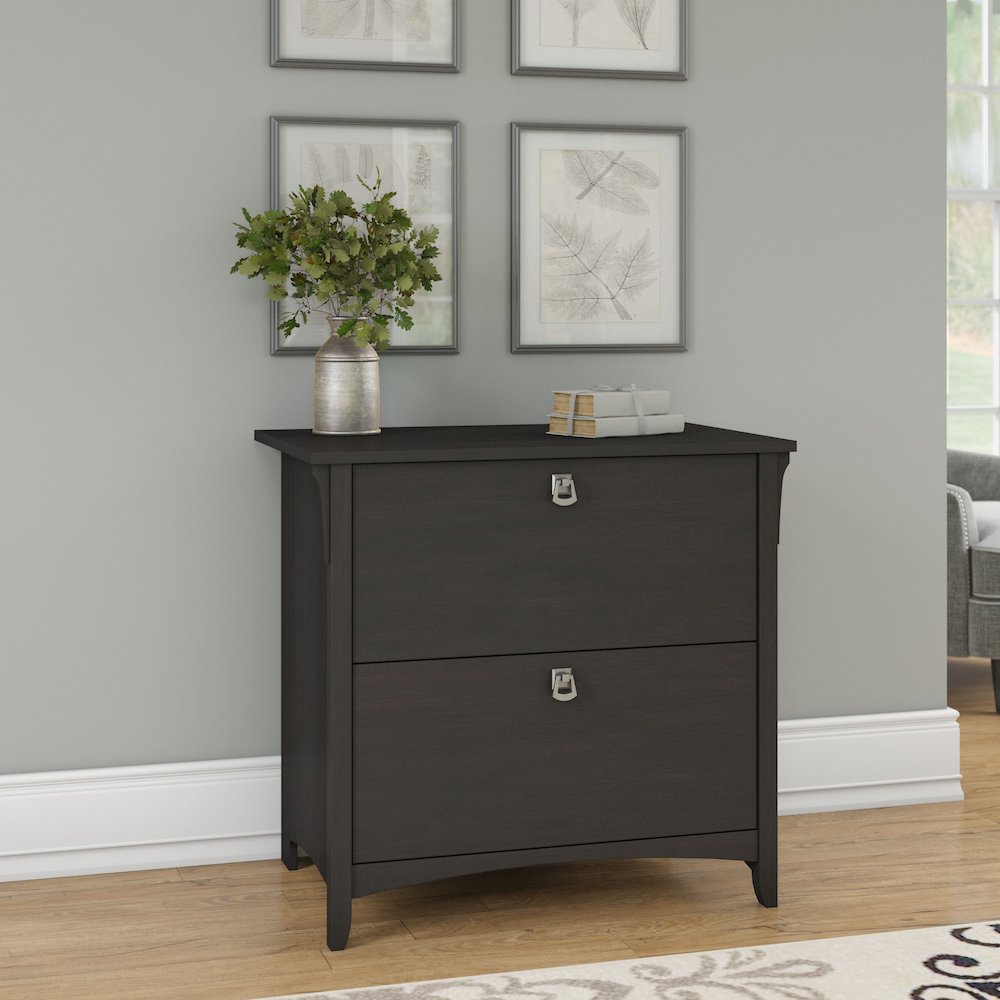 Salinas 2 Drawer Lateral File Cabinet. Picture 2