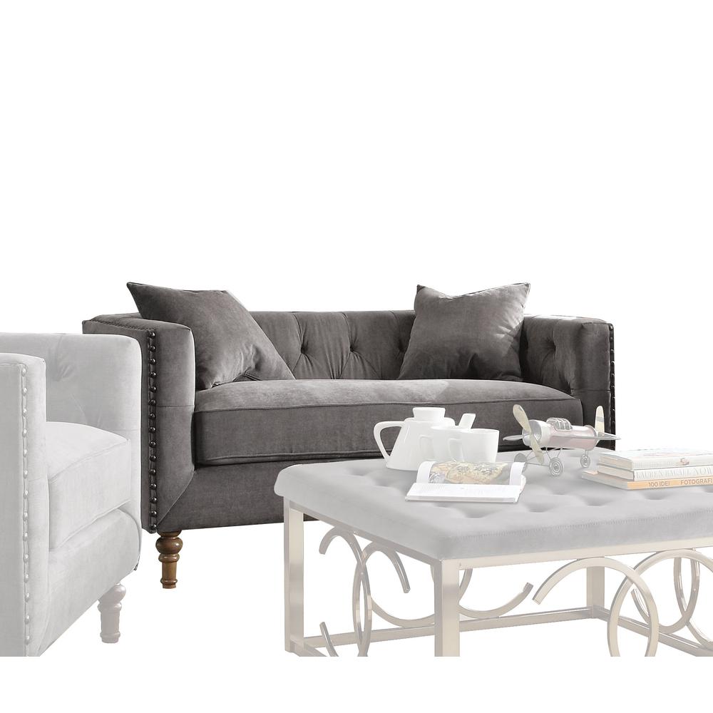 Sidonia Loveseat w/2 Pillows, Gray Velvet. Picture 1